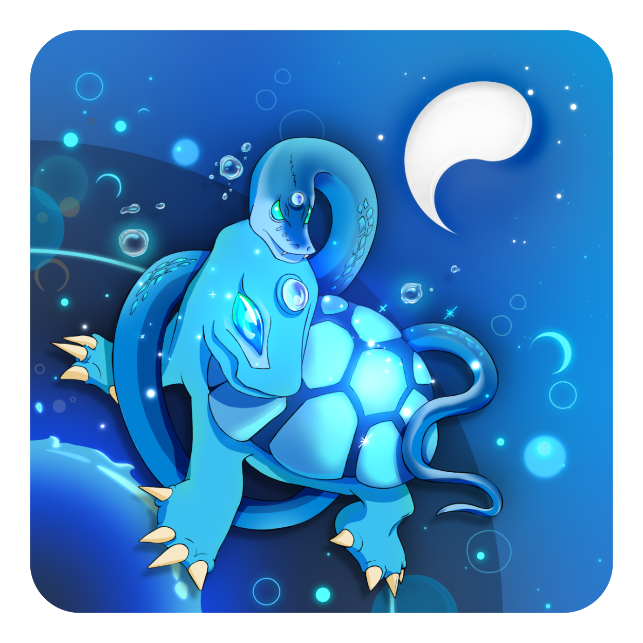 CARTE-TORTUE-BLANCHE